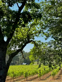 La Maison Rose - Image 5