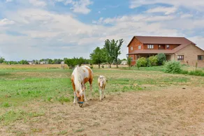 Farmstay! Central & Beautiful - Image 5