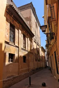 The House of Joy - Image 2