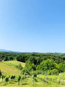 Tiny House with a Beautiful View - Image 5