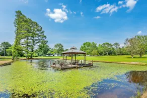 2 Fishing Ponds, 5 Acres of Privacy - Image 4