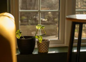 Laburnum Lodge - Image 5