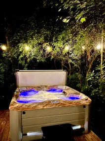 Creekside Refuge Blue Ridge Hot tub, Fish, Firepit - Image 3