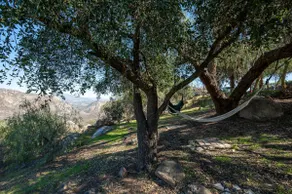 Nature/Zen retreat - 30 Min to SD/near Casino - Image 4