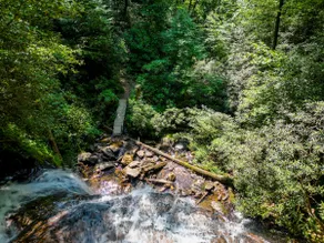 The Falls at Andrews 3 Bedroom - Image 3