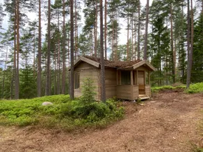 Forest house among blueberries and pine trees - Image 4