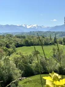 Unusual chalet / SPA / Pyrenees Panorama / Brazier - Image 4