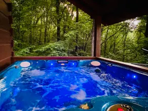 Bear Foot Heaven Cabin Retreat/AT trail - Image 4
