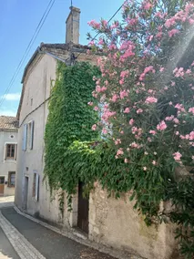 Charming 3-bedroom cottage + terrace in the heart of Montcuq - Image 5