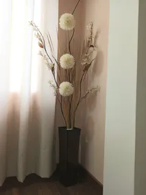 Katty's apartment - Las Malvas - Image 4
