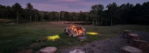 Secluded Escape • 125 Acres • 2 ponds • Lakefront - Image 3