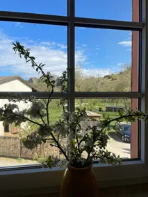 Heideblick vacation home - Image 3