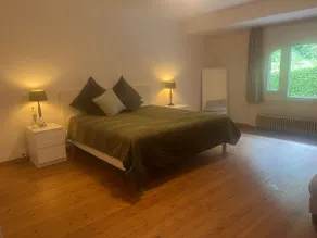 Apartment with pool in Brussels woods - Image 3