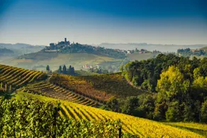 Cozy Rooftop Nest • Terrace • Roero & Langhe - Image 5
