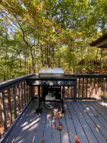 Serenity Retreat Cabin - Image 3