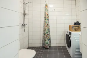 Central, newly renovated apt. - Image 4