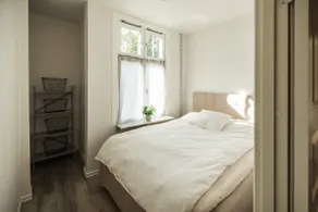 Central, newly renovated apt. - Image 3