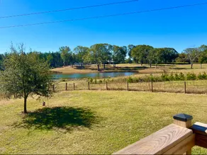 King Bed & Private Pond Oasis w/ Pedal Boat Ride! - Image 5