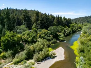 River Rose: riverfront, private beach, fire pit - Image 5