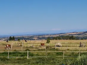 Quiet duplex 1-4 people. Horse & mountain view - Image 3