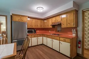Luxury mid-century forest home, mins from downtown - Image 4