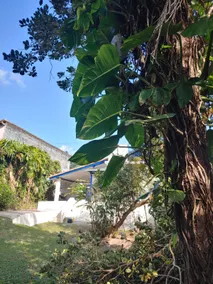 Casa Grapirá - Image 5