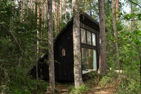 Design forest hut near Viru Bog - Image 3