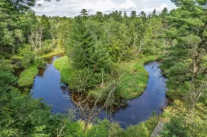 Pet-Friendly Woodland Retreat • Near Lakes & ATV - Image 2