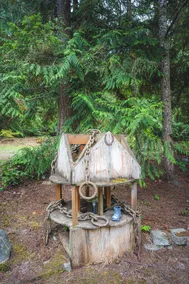 Fern House Sequim Olympic National Park - Image 5