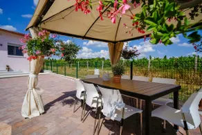 Rosè del Garda, a spacious house a few kilometers from the lake - Image 4
