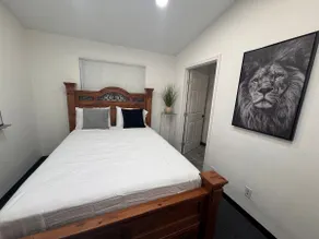 VIP #6 Beautiful Apartment in Houston - Image 2