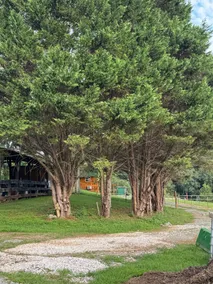 Sawyer's Loft: Tiny House, Cycling & Hiker's Haven - Image 3