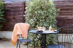 Bijou apartment nr Totnes & Beaches | Pet friendly - Image 5