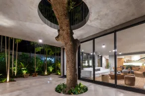 Miami Jungle Retreat | Luxury Wellness Oasis - Image 5
