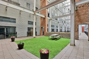 Dwntn~Near Stadiums~Gym~Rooftop Retreat~Dogs OK - Image 4