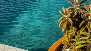 Beautiful Loft, Vila Germânica just a few steps away, enjoy! - Image 5