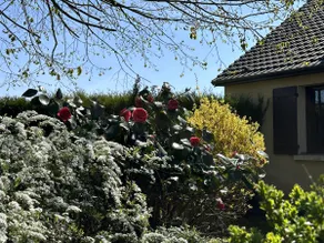 House of peace and nature - Image 2