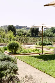 Charming house in the heart of the vineyards - Image 4