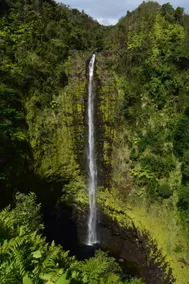 Hakalau Hale - Escape to Paradise - Image 5