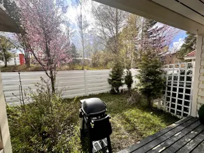 Private sauna, gas grill, yard and hotel bed - Image 5