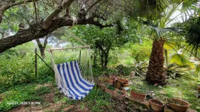 The Painter's Garden, Walk to Sea, Onsite Parking - Image 5