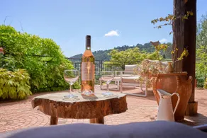 Charme provençal Les amandiers piscine et animaux - Image 5