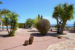Finca Pedramala - Image 4
