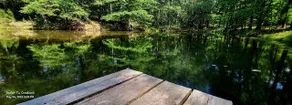 Priv 80a Hidden retreat cabin ATV trails fish spa - Image 4