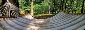 Priv 80a Hidden retreat cabin ATV trails fish spa - Image 3