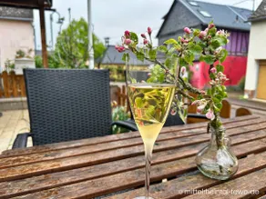 Middle Rhine Valley apartment - Image 5