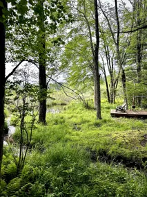 Cozy farmhouse nestled on 17 acres of nature - Image 2