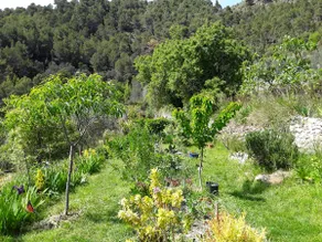 Hamlet House - Image 5