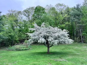 The Maine Adventure House • Huge Backyard - Image 4
