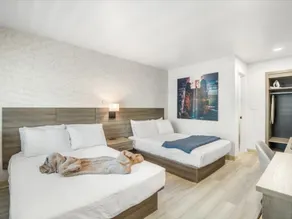 At Mine - Geary Double Suite in San Francisco - Image 5